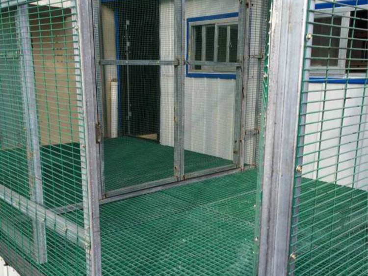 ������B(y��ng)ֳ�Ͳ�